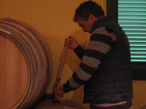 Silvano drawing samples from his barrels... 
