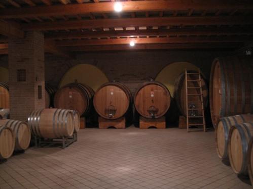 The various barrels holding their wines